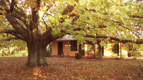 Delatite Station - Accommodation Sunshine Coast 3