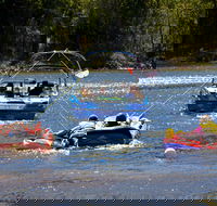 Lake Dyer - Accommodation Sunshine Coast