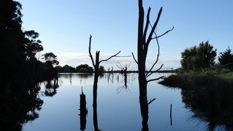 A Fare With Nature @ Prom Road Farm - Accommodation Sunshine Coast 6