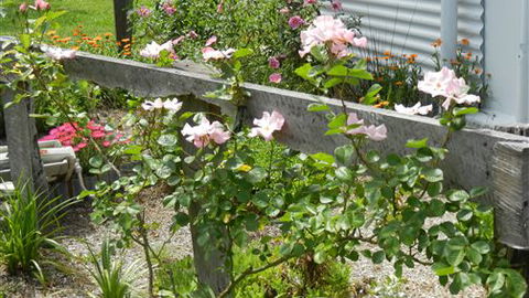 Willy's Holiday House - Accommodation Sunshine Coast 4