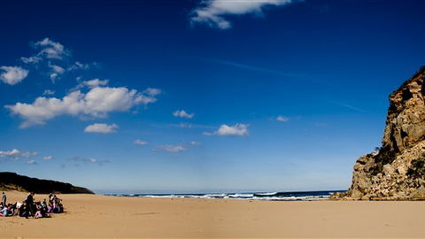 Kangaroobie - Accommodation Sunshine Coast 5