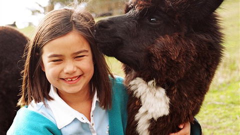 Sabrelyn Park - Accommodation Sunshine Coast 1