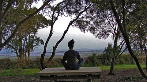 Sabrelyn Park - Accommodation Sunshine Coast 4