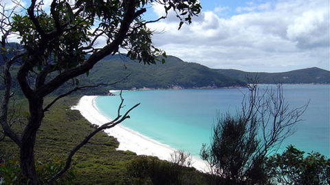 Sabrelyn Park - Accommodation Sunshine Coast 6