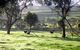 Bellevue Farmstay - thumb 0
