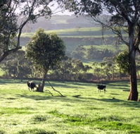 Bellevue Farmstay - Accommodation Sunshine Coast