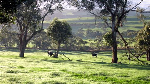 Bellevue Farmstay - Accommodation Sunshine Coast 0