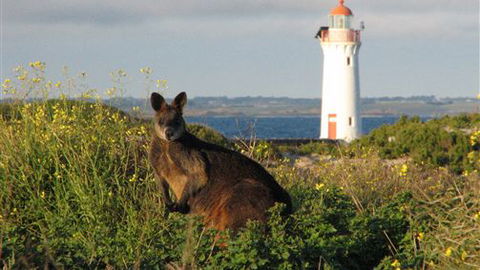 Port Fairy YHA - Accommodation Sunshine Coast 2