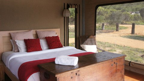 Pebble Point - Accommodation Sunshine Coast 0