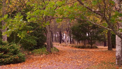 Griffins Hill Retreat - Accommodation Sunshine Coast 5