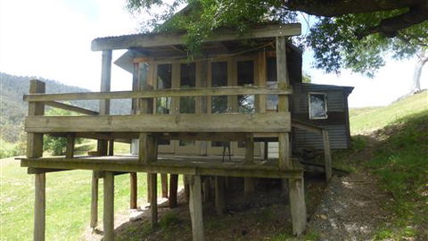 The Willows - Accommodation Sunshine Coast 6