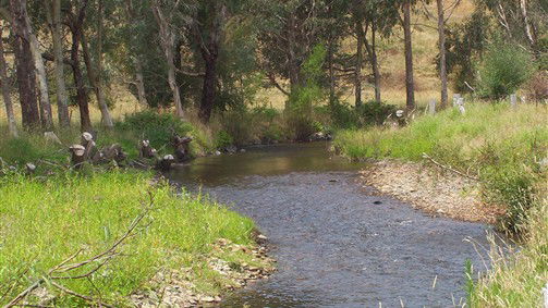 Thowgla Valley VIC Accommodation Sunshine Coast