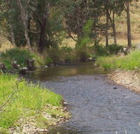 Murphy's Cabin - Accommodation Sunshine Coast