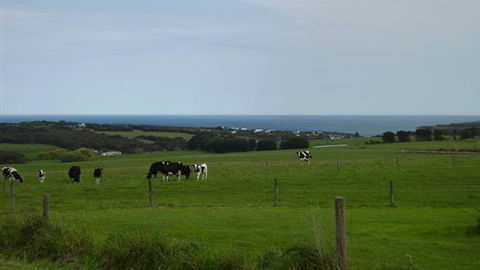 Serenity Views - Accommodation Sunshine Coast 4