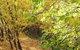 Saltus Luxury Accommodation - thumb 6