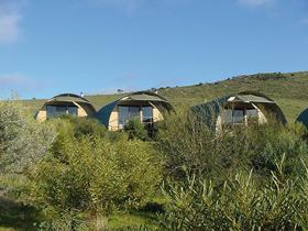 Saunders Gorge Sanctuary - Nature Lodges - Accommodation Sunshine Coast 0