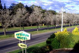 Avenue Motel - Accommodation Sunshine Coast 0