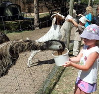 BIG4 Bairnsdale Holiday Park - Accommodation Sunshine Coast