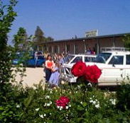 Boerbuck Country Motel  Host Farm - Accommodation Sunshine Coast