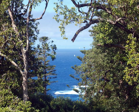 Bucks Point House - Accommodation Sunshine Coast 3