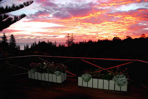 Cascade Garden Apartments - Accommodation Sunshine Coast 3