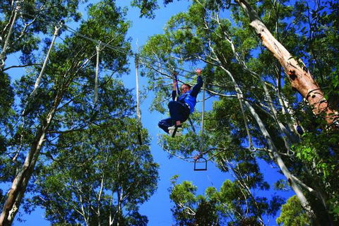 Cedar Creek Lodges At Thunderbird Park™ - Accommodation Sunshine Coast 2