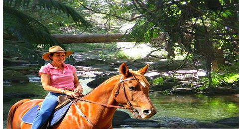 Cedar Creek Lodges At Thunderbird Park™ - Accommodation Sunshine Coast 7