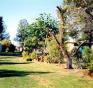 Condamine River Caravan Park - Accommodation Sunshine Coast