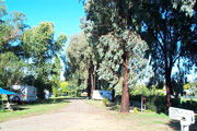 Cudal Caravan Park - Accommodation Sunshine Coast 0