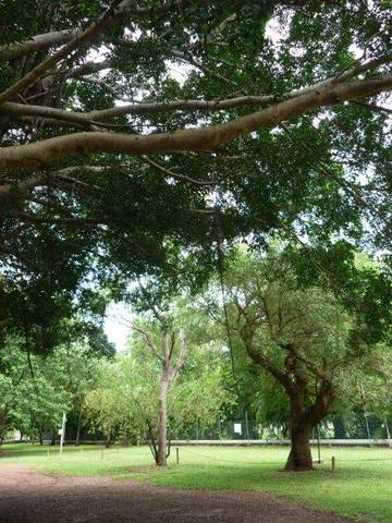 Discovery Holiday Parks - Darwin - Accommodation Sunshine Coast 10