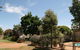 Forest Lodge Motor Inn & Restaurant - thumb 4