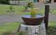 Haven Waters Motel And Apartments - thumb 2