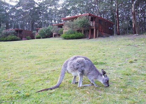 Jenolan Caves Cottages - Accommodation Sunshine Coast 0