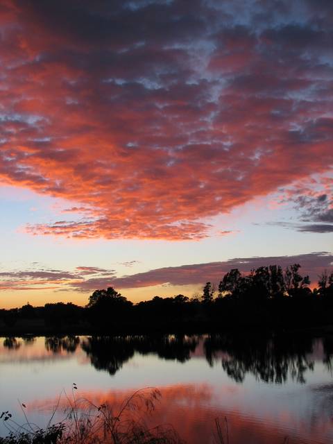 Yessabah NSW Accommodation Sunshine Coast