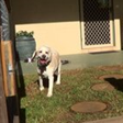 Neds Bed - Accommodation Sunshine Coast 7