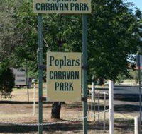 Poplars Caravan Park - Accommodation Sunshine Coast