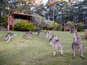 Jenolan Caves Cottages - Accommodation Sunshine Coast 1