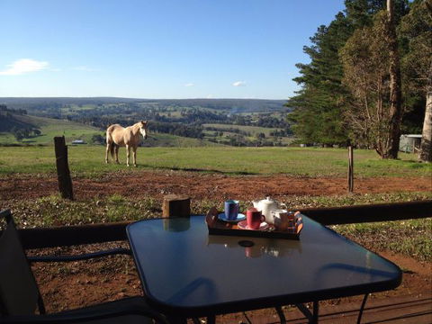Balingup Heights Hilltop Forest Cottages - Accommodation Sunshine Coast 7
