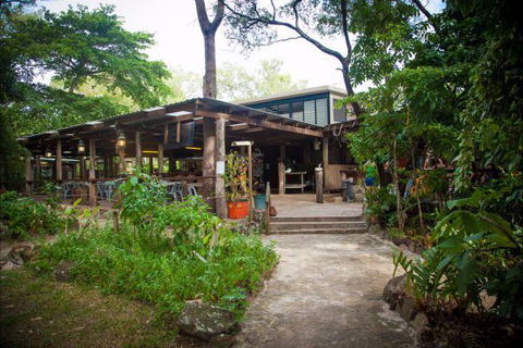 Cape York Camping Punsand Bay - Accommodation Sunshine Coast 9