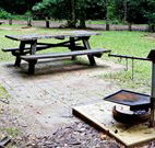 Bellbird campground - Accommodation Sunshine Coast