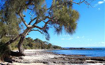 Currarong Beachside Holiday Park - Accommodation Sunshine Coast 0