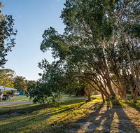 Delicate campground - Accommodation Sunshine Coast