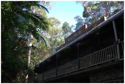 Rumbalara B&B - Accommodation Sunshine Coast 5