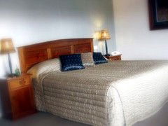 Saltbush Motor Inn - Accommodation Sunshine Coast 4