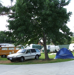 Sydney Tourist Park - Accommodation Sunshine Coast 0