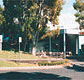 Tamwell Motel - Accommodation Sunshine Coast