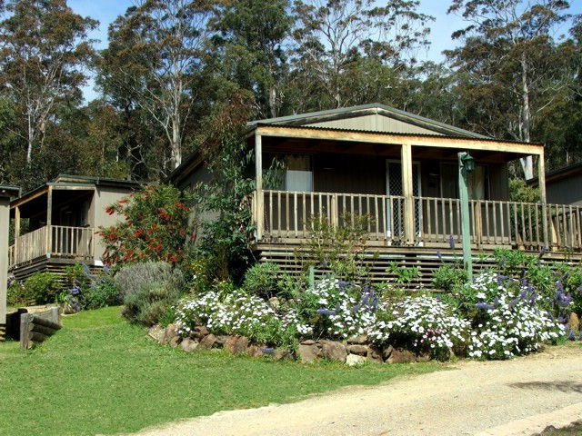 Mogo NSW Accommodation Sunshine Coast