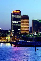 The Sydney Boulevard Hotel - Accommodation Sunshine Coast 2