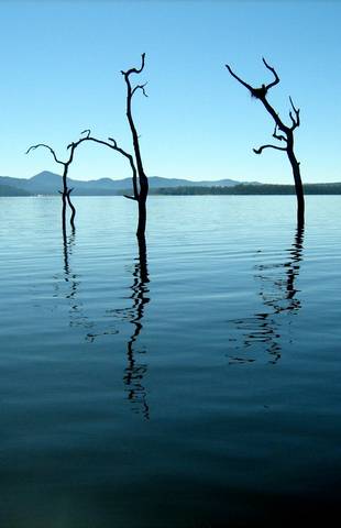 Tinaroo Lake Resort - Holiday Apartments - Accommodation Sunshine Coast 11