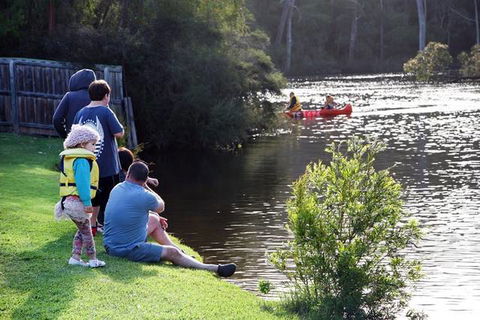 Top Tourist Riverview Tourist Park - Accommodation Sunshine Coast 2